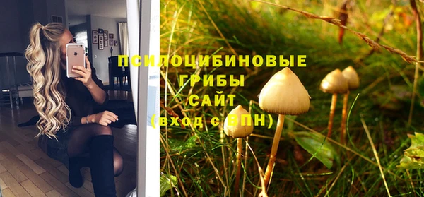 первитин Медвежьегорск
