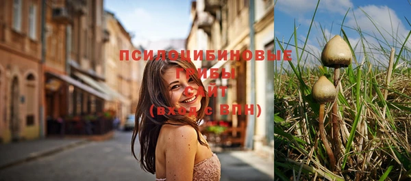 первитин Медвежьегорск