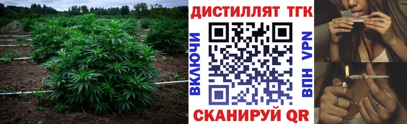 купить Юхнов Дистиллят ТГК концентрат